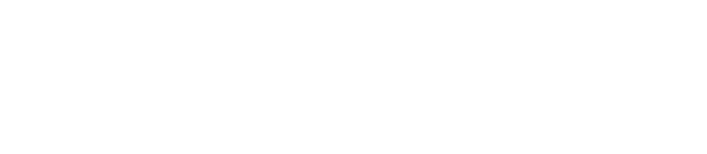 BIR77 logo